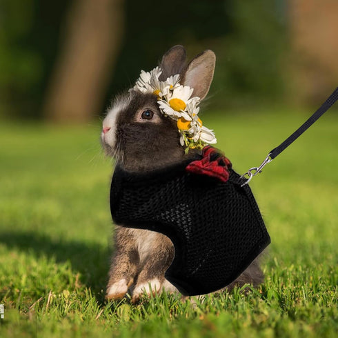 ASOCEA Adjustable Bunny Harness and Leash - Breathable Mesh Vest for Small Animals - Black M