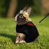 ASOCEA Adjustable Bunny Harness and Leash - Breathable Mesh Vest for Small Animals - Black M