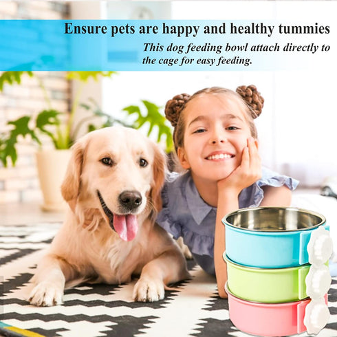 3 Pieces Crate Dog Bowl, Removable Stainless Steel Pet Feeder Bowl for Puppy, Medium Dog, Cat, Rabbit (Blue, Red, Green)