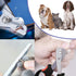 Pet Nail Clippers and Trimmers Set, Safety Guard to Avoid Over Cutting, Razor Sharp Blades Grooming Tool for All Dogs