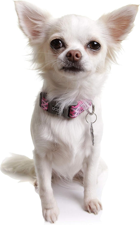 DOOG - Soft and Breathable Neoprene Padded Adjustable Dog Collar Available: XSmall, Small, Medium, and Large Dogs and Puppies for Walking, Running, Water Friendly Pool Lake Beach Swimming