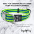Regal Dog Products Large Pet Collar with Custom Engraved Buckle | Durable Twill Collars for Small Medium Large Dogs