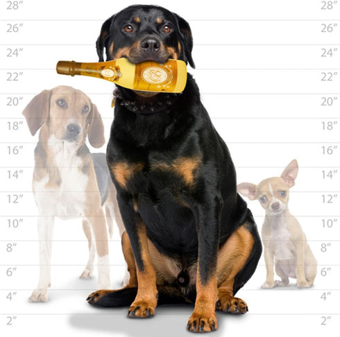 Silly SQUAKER Wine Bottles - Crispaw Dog Toy, 100% Vinyl, Durable & Strong