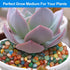 Landscaping Pebbles River Rocks, Decorative Ornamental Stones for Garden and Aquarium Gravel (2 Pounds)