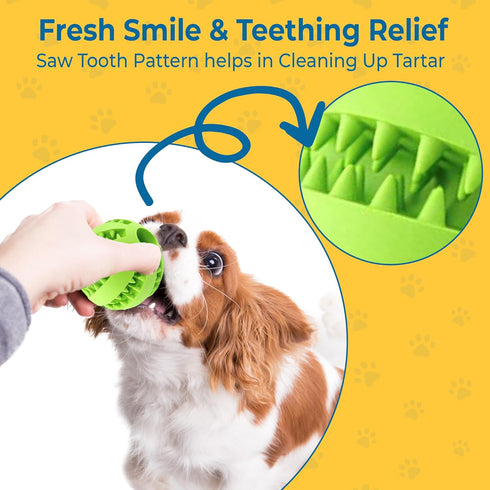 SunGrow 2-Pack Dog Treat Balls, Interactive Puzzle Food Dispensers for Small Dog Training, Mental Stimulation