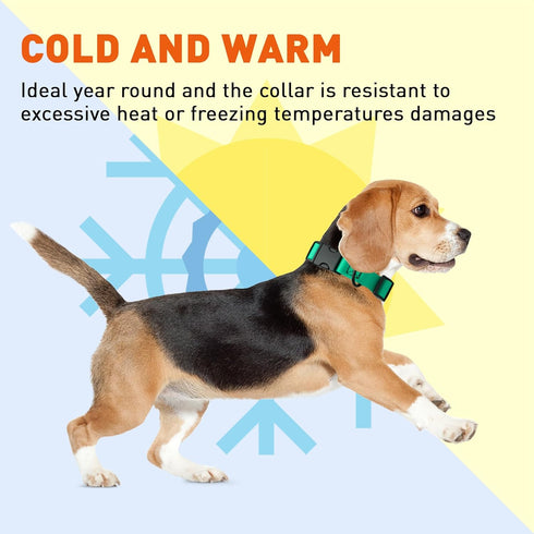 Dogline Biothane Waterproof Dog Collar with Quick Release Buckle, Fits Small to Large Dogs, Teal 1" W 15-23" L
