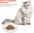 Ceramic Cat Bowls, Shallow Dog Bowls, Whisker Stress Cat Dishes, Stainless Steel White Puppy Food Ceramics