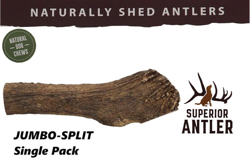 Jumbo Elk Antler Split for Dogs – XXL G Natural Premium Grade A Chew | Naturally Shed, Hand-Picked, Made in USA, No Odor