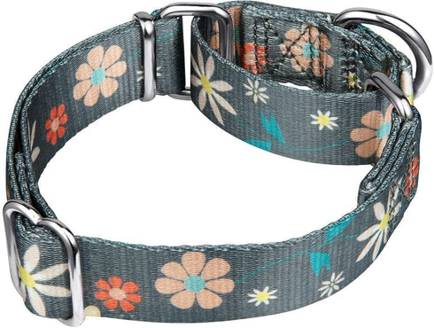 Floral Print Martingale Dog Collar by Dazzber, Heavy Duty Adjustable No Pull Collar for Extra Small Dogs (Neck 8-11