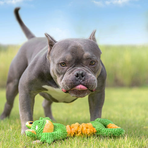 Sedioso Dog Tug Toy, Durable Squeaky Toy for Large Breeds, Stuffed Plush Toy with Crinkle Paper for All Dogs (Frog)
