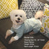 KYEESE Dog Pajamas Stretchable 4 Legs Striped Jumpsuit, Lightweight Onesie, Cozy Outfit for Dogs, Green Striped, Medium