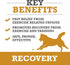 WINPRO Recovery Chews for Dogs | Plasma-Powered for Active Dogs | Immune System Support | 60 Count, Made in USA