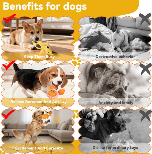 Generic 5 Pack Squeaky Plush Dog Toys: Tough Stuffed Toys - Chew Teething Crinkle Boredom Relief for Puppy Small Medium