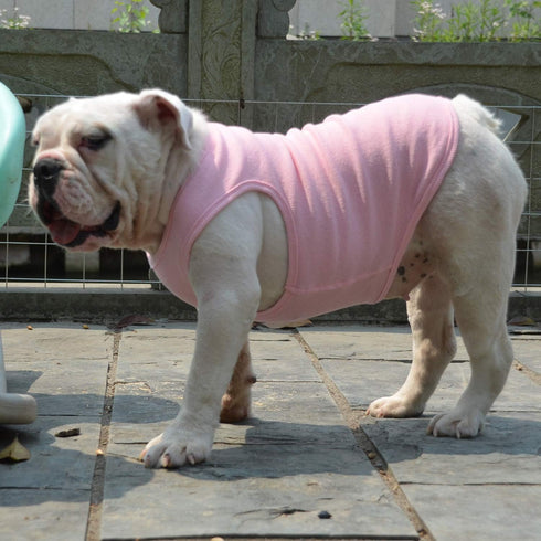 Lovelonglong 2019 Summer Pet Clothing, Dog Clothes Blank T-Shirts, Ribbed Tanks, Thread Vests for Large Medium Small