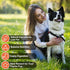 MON2SUN (21 -Pack 1) Chicken Jerky Dog Treats Made with Chicken Breast, High Protein & Grain Free, Training Treats