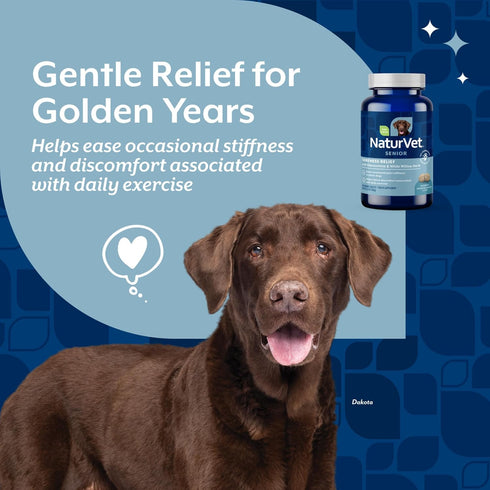 60 NaturVet Soreness Relief Senior Supplements for Dogs, Hickory Smoked Bacon Flavor, Chewable Tablets