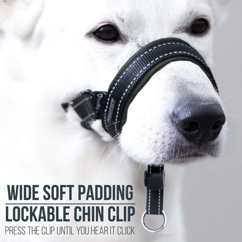 GoodBoy Dog Head Halter with Safety Strap - Padded Headcollar for Small, Medium & Large Dogs - Training Guide Included