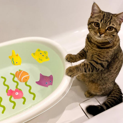 Dwuww 6 Swimming Pcs Pool Cat Interactive, Cat Floating Water, Pool, Pet Kitten Bathing Fish,Interactive for Indoor