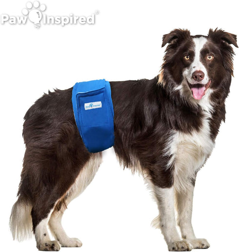 Paw Inspired Washable Male Dog Wraps, Belly Band for Dogs, Reusable Diapers for Marking, Large (2 ct.), Assorted