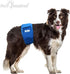 Paw Inspired Washable Male Dog Wraps, Belly Band for Dogs, Reusable Diapers for Marking, Large (2 ct.), Assorted