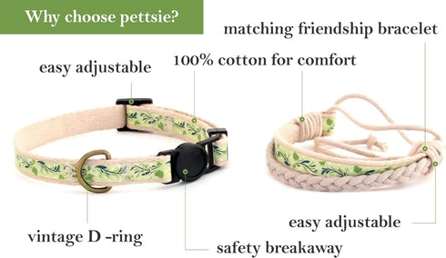 Pettsie Kitten Collar Breakaway with Matching Bracelet, Adjustable 5"-8", Green Gift Box