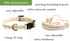 Pettsie Kitten Collar Breakaway with Matching Bracelet, Adjustable 5"-8", Green Gift Box