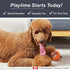HugSmart Pet Zoo Ball 4-Pack, Plush Squeaky Tennis Balls for Dogs, No Stuffing Tough Interactive Fetch Toys for All