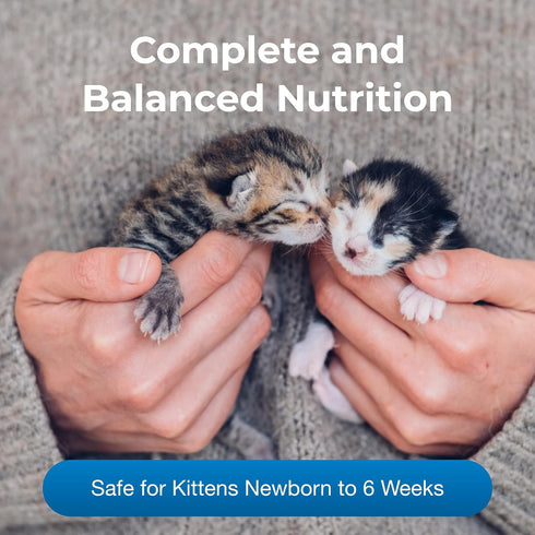 Pet-Ag KMR Kitten Milk Replacer Liquid - 11 oz - Ready-to-Feed Formula with Vitamins for Kittens