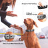 PetiFine Neoprene Padded Dog Collar, Heavy Duty Comfort Collar with Durable Metal Buckle, Reflective Adjustable for