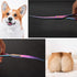 Dog Grooming Scissors Set with Safety Blunt Tip - Professional 7 in 1 Grooming Scissors for Dogs and Cats