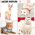 LEIFIDE Dog Cat Chain Collar, Diamond Collar 12 mm Wide for Cat Metal Small Dog, Pet Crystal Necklace Accessories (Rose