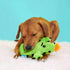 Barkbox BARK Prickly Pete Rip & Reveal Chew Toy for Dogs and Puppies, Small