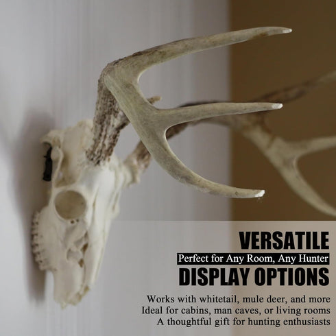 VMSIXVM European Mount Skull Hanger, Stainless Steel Euro Wall Mount Hanger for Deer, Antelope, Coyote and Other