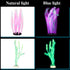 Frienda 8 Pieces Glowing Fish Tank Decorations - Plants with Glowing Kelp, Sea Anemone, Coral, Jellyfish & More