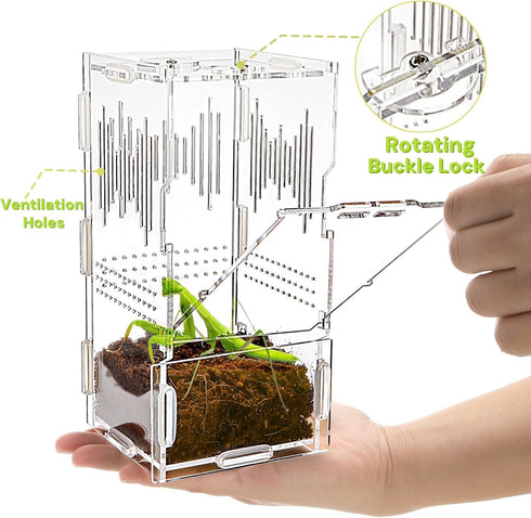 4"x4"x8" Jumping Spider Enclosure, Acrylic Tarantula Tank, Small Reptile Terrarium, Praying Mantis Habitat, Critter