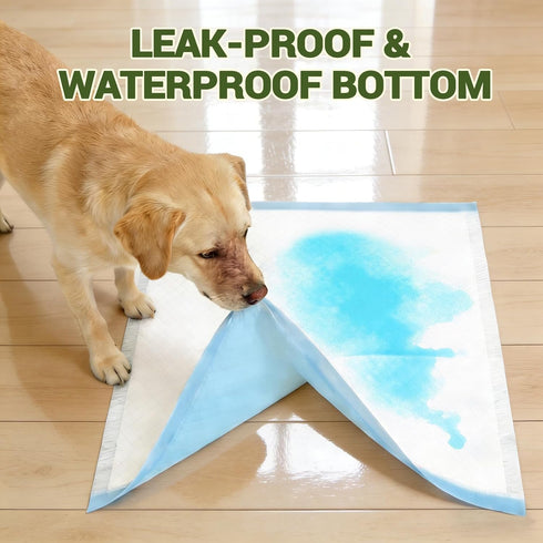 IMMCUTE 100 Count 22"x23" 6-Layer Premium Puppy Pads, Dog Pee Pads Ultra-Soft Heat-Sealed, Leak-Proof & Super Absorbent