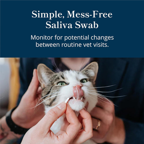 (2-Minute (Pack 1) Petivity At-Home Kidney Health Test Kit for Cats Quick Saliva Urea Test Home Check), Powered by