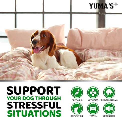 YUMA'S (2 Pack) Hemp Calming Chews for Dogs, Advanced Dog Calming Treats, 340 Chews for Anxiety Relief and Stress