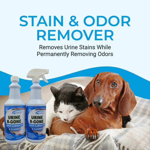 Urine B-Gone Professional Enzyme Odor Eliminator & Pet Stain Remover, 32oz Pack of Two, Effective on Laundry