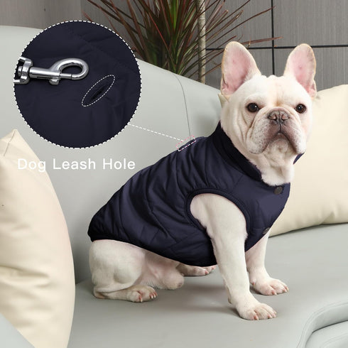 2 Layers Fleece Lined Warm Dog Jacket - Soft Windproof Large Dog Coat for Winter Cold Weather, Blue XXXL
