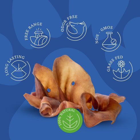 SUPER CAN BULLYSTICKS Pig Ears for Dogs (20 Count) | All Natural Healthy Dog Treats | Natural Chews Alternative to