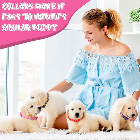 36Pcs Dog Collar and Leash Set, Adjustable Quick Release Buckle Soft Nylon Collar for Puppy Small Dogs Walking Training