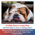 Solva-Ker Gel Moisturizer for Pet's Cracked Nose and Paws, Dry Nose and Paw Soother, Greaseless Healing Balm