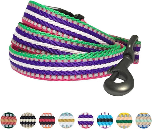 Blueberry Pet Reflective Dog Leash - Eco-Friendly Durable Nylon Puppy Essentials, Gentle Leader, Comfortable Handle for