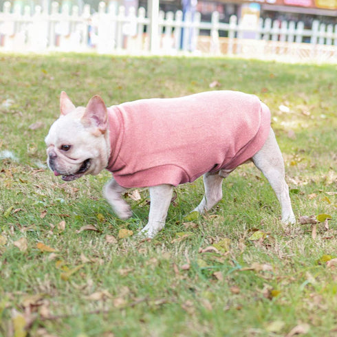 Dociote Dog Clothes for Small Dogs, Fleece Puppy Sweaters, Winter Sweatshirt for Small Dogs (Medium, Pink)