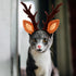 Beaupretty Christmas Hat for Cat Pet Deer Costume, Adjustable Antler Headband for Dog Reindeer Cosplay