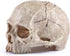 Carefree Fish Aquarium Decoration Skull Fish Tank Head Skeleton Aquarium Decorative Cave Landscape Pet Reptile House
