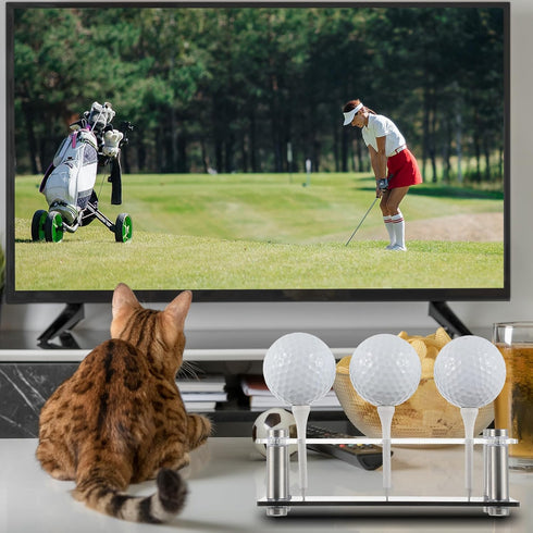 Realspring Acrylic Metal Golf Ball Display Case Golf Ball Holder with Black Base Golf Ball Stand Display Box for Golf