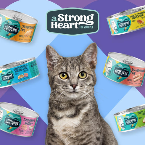 5.5 oz (Pack 24), A Strong Heart Canned Wet Cat Food, Salmon Dinner Pat - Cans of Made in The USA with Real Salmon