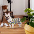 TONY HOBY Dog Pajamas Jumpsuit, Colorful Shirt for Dogs Surgery Recovery Suit for Small Medium Breeds (Blue&White, XL)